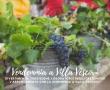 VENDEMMIA-A-VILLA-VESCOVI---CENE-IN-VIGNA.png