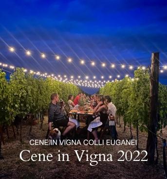 Cene-in-Vigna1.jpg