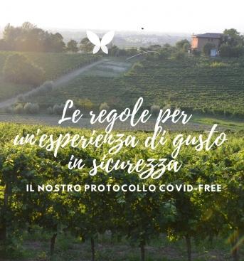 protocollo-covid-free-fb.png