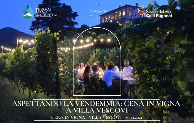 Aspettando-la-Vendemmia-Cena-in-Vigna-a-Villa-Vescovi.png