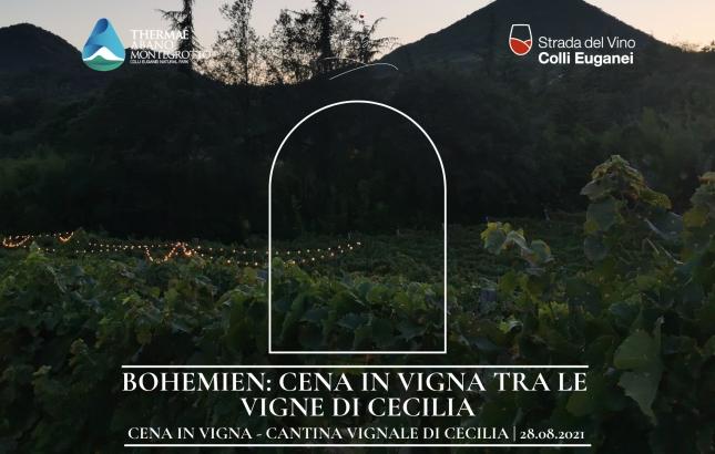 Bohemien-Cena-in-Vigna-tra-le-vigne-di-Cecilia.png