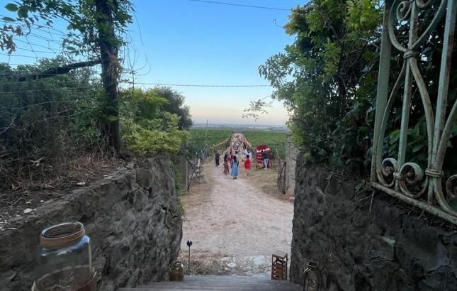 Filo-delle-Vigne.jpg