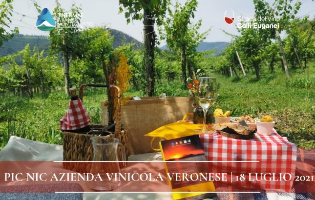 PIC-NIC-CANTINA-AZIENDA-VINICOLA-VERONESE.png