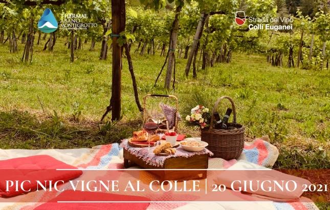 PIC-NIC-VIGNE-AL-COLLE.png