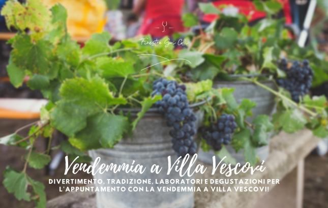 VENDEMMIA-A-VILLA-VESCOVI---CENE-IN-VIGNA.png