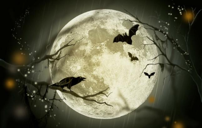 halloween-72939_1280.jpg