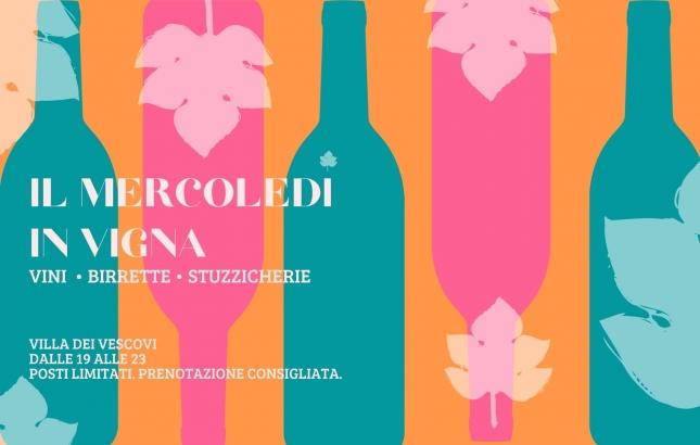 il-mercoledi-in-vigna.jpg