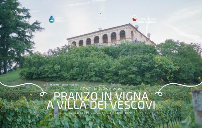 pranzo-in-vigna-a-villa-dei-vescovi.png