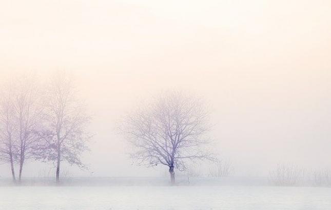 winter-landscape-2571788_640.jpg