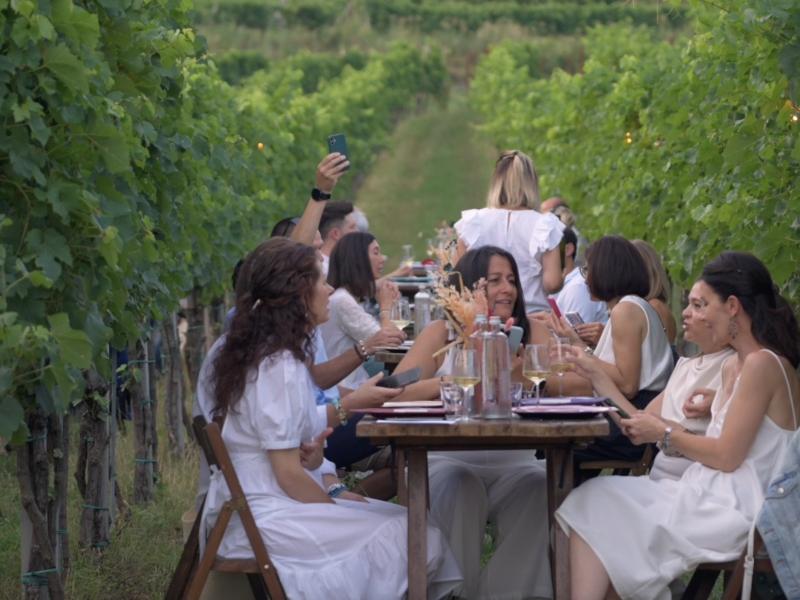 82606371-vignale-di-cecilia.png