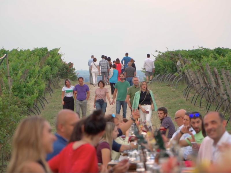 filo-delle-vigne-4.png